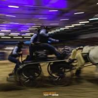 CAVALIADA Lublin FOTO