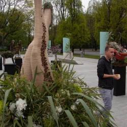 IMG_6998