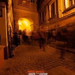 IMG_3941