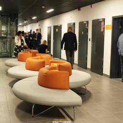 optimized-IMG_9691