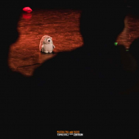 Show muzyczno-cyrkowe duetu Jemioła-Szwed - Kontestacje