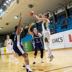 basket20
