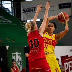 basket5